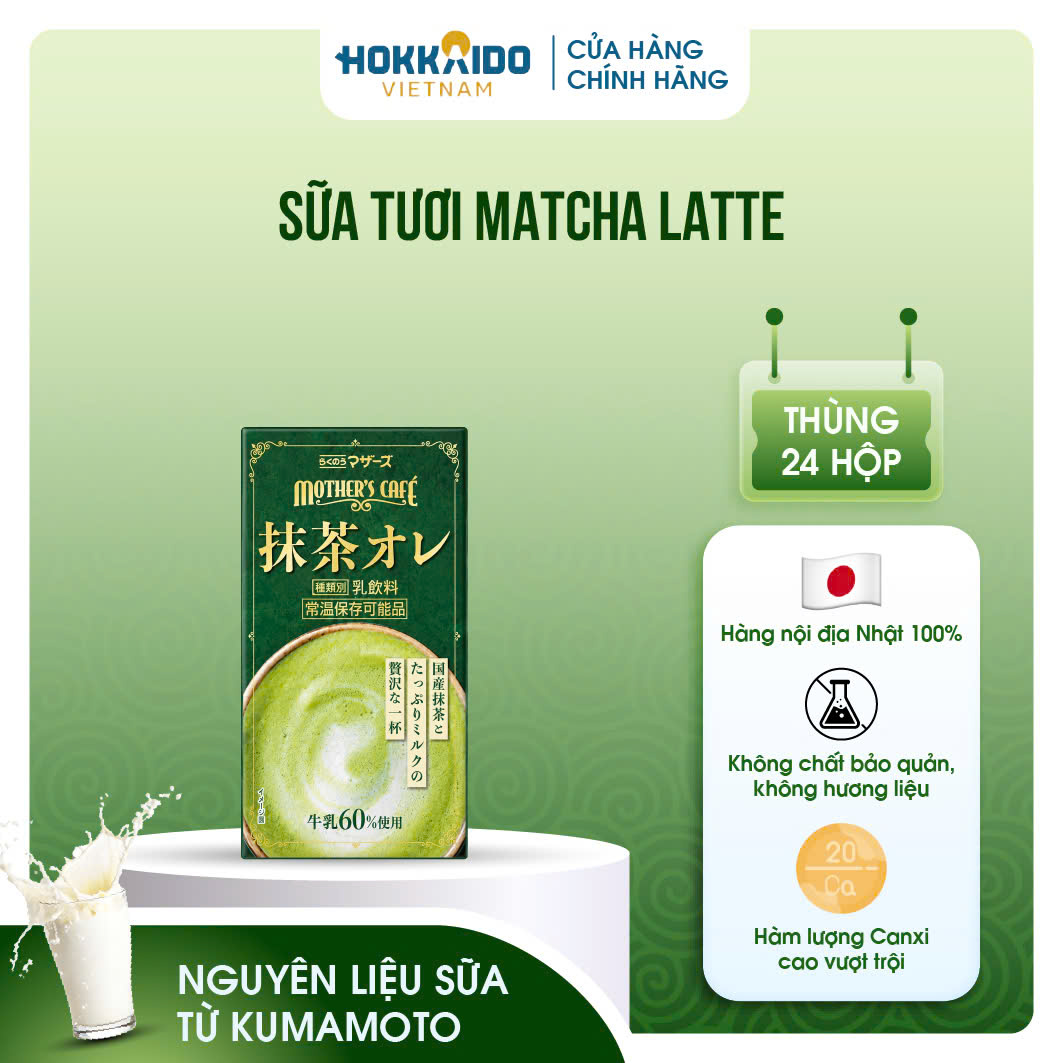 Sữa tươi Matcha Latte Kumamoto